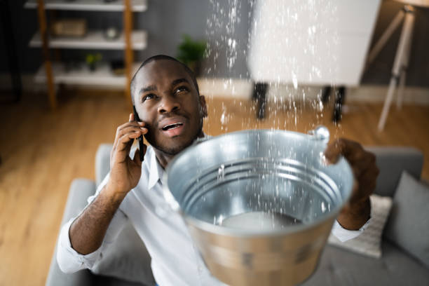 Best Water damage restoration near me  in Stayton, OR