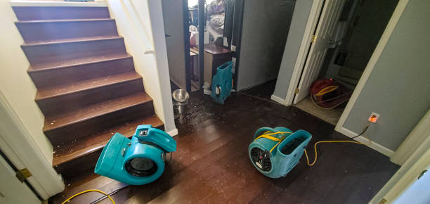 Best Commercial water damage restoration  in Stayton, OR