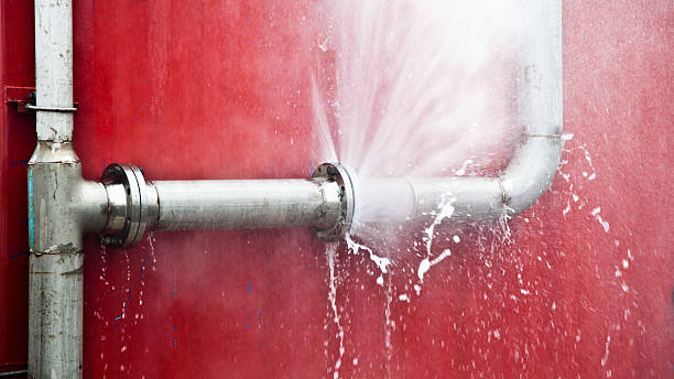 Best Water damage contractors near me  in Stayton, OR
